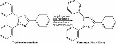 A Review of Methods to Determine Viability, Vitality, and Metabolic Rates in Microbiology